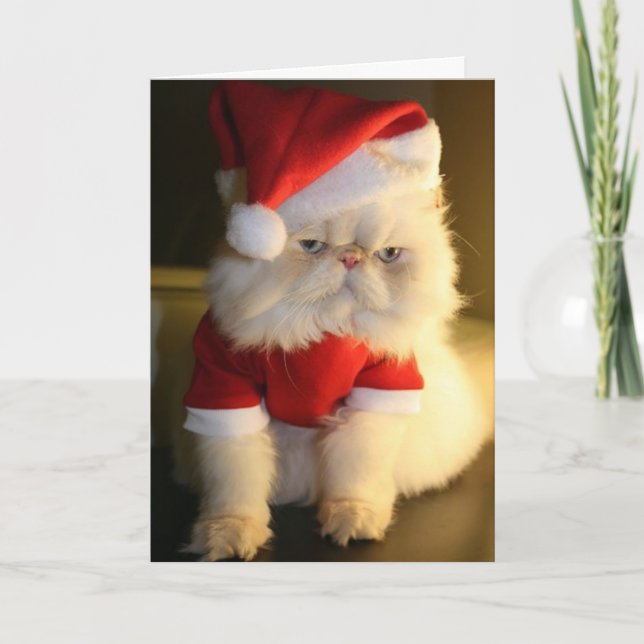 Cartes Pour Fêtes Annuelles Merry CatMas (Devant)