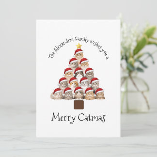 Cartes Pour Fêtes Annuelles Merry Catmas Personalized Family Christmas Holiday