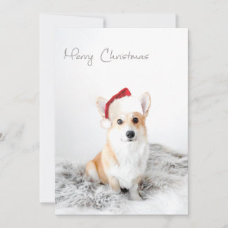 Cartes Pour Fêtes Annuelles Merry Christmas