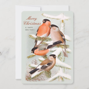 Cartes Pour Fêtes Annuelles Merry Christmas Bullfinches pin enneigé CC1058