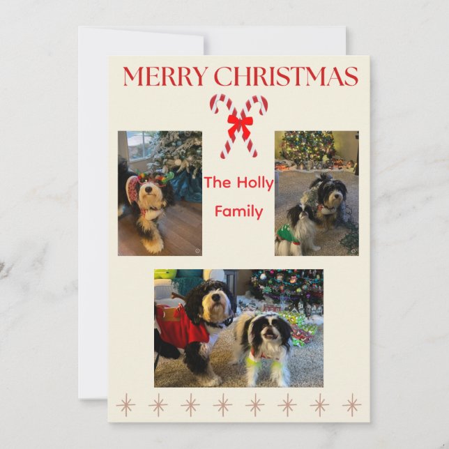 Cartes Pour Fêtes Annuelles Merry Christmas Candy Cane and Twinkle Card (Devant)