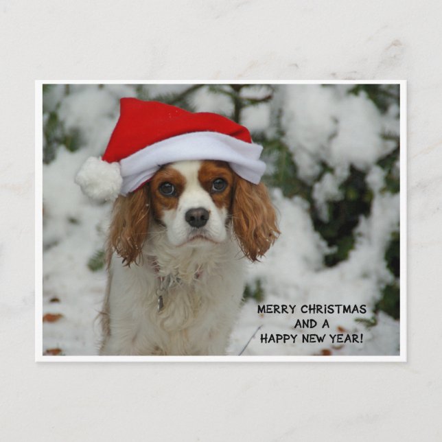 Cartes Pour Fêtes Annuelles Merry Christmas Charly (Devant)