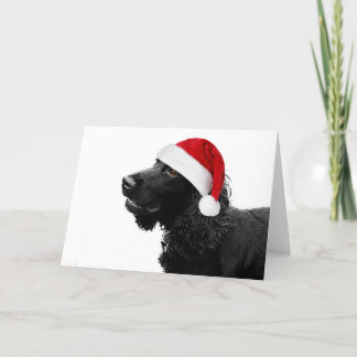 Cartes Pour Fêtes Annuelles Merry Christmas Cocker