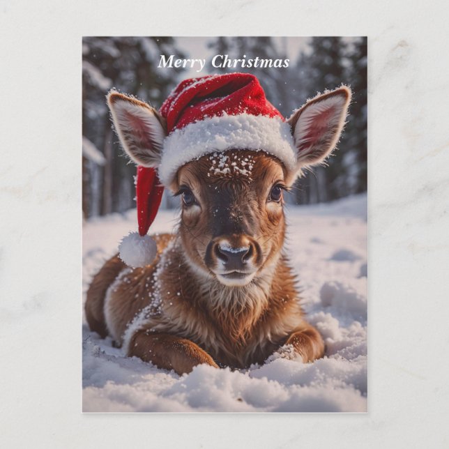Cartes Pour Fêtes Annuelles Merry Christmas Deer (Devant)
