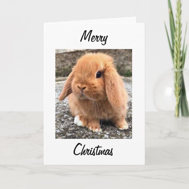 Cartes Pour Fêtes Annuelles **MERRY CHRISTMAS** du "BUNNY DE PÂQUES" (Devant)