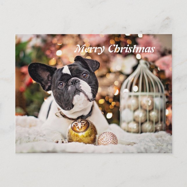 Cartes Pour Fêtes Annuelles Merry Christmas French Bulldog (Devant)