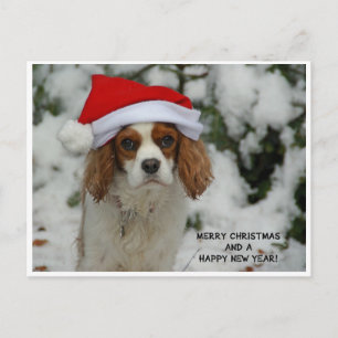 Cartes Pour Fêtes Annuelles Merry Christmas from Charly