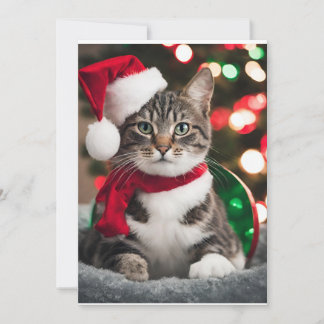 Cartes Pour Fêtes Annuelles Merry Christmas with a cute kitten