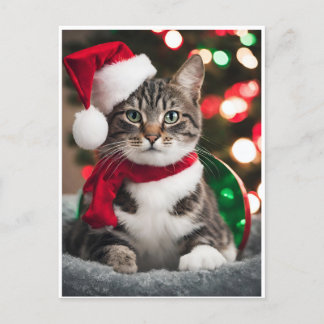 Cartes Pour Fêtes Annuelles Merry Christmas with a cute kitten