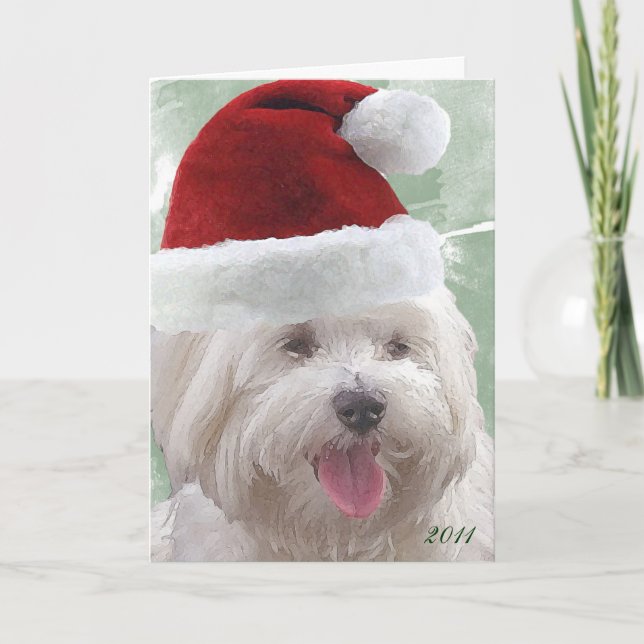 Cartes Pour Fêtes Annuelles Merry Maltese (Devant)