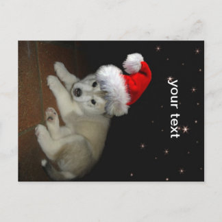 Cartes Pour Fêtes Annuelles Merry Xmas Puppy