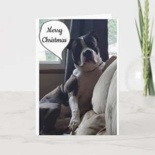 CARTES POUR FÊTES ANNUELLES MERVEILLEUX TEMPS DE L'ANNÉE **MERRY NOËL"