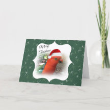 Message australien de Noël - Rosella indigène