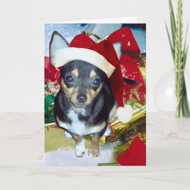 Cartes Pour Fêtes Annuelles Mignon Père Noël Chihuahua AngelPearlGirl (Devant)