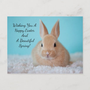 Cartes Pour Fêtes Annuelles Mignonne Bunny Pâques