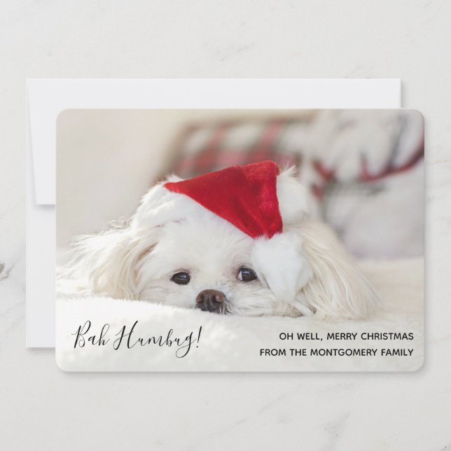 Cartes Pour Fêtes Annuelles Mignonne Chien Blanc Noir Bah Humbug (Devant)