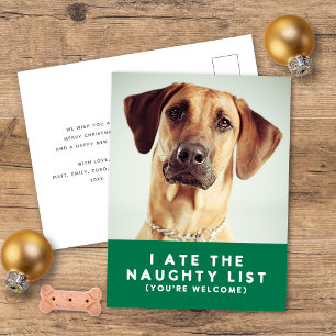 Cartes Pour Fêtes Annuelles Mignonne drôle Liste de vilaines Animaux de compag