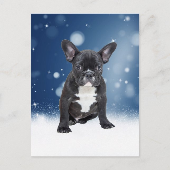 Cartes Pour Fêtes Annuelles Mignonne French Bulldog Etoiles de neige Bleu Noël (Devant)