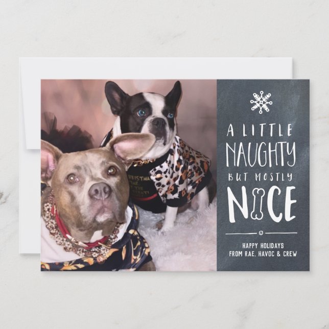 Cartes Pour Fêtes Annuelles Mignonne, Mais Sympa | Pet Photo Holiday Card (Devant)