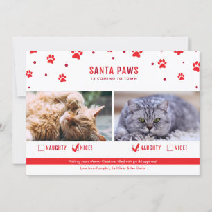 Cartes Pour Fêtes Annuelles Mignonne Naughty ou Nice Deux Chats Photo de Noël