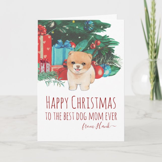 Cartes Pour Fêtes Annuelles Mignonne Poméranie Poméranienne Mère Noël (Devant)