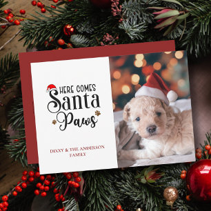 Cartes Pour Fêtes Annuelles Mignonne Voici Père Noël Paws Chien Photo de Noël