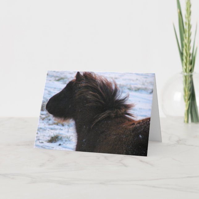 Cartes Pour Fêtes Annuelles Mini Filly en hiver, Noël (Devant)