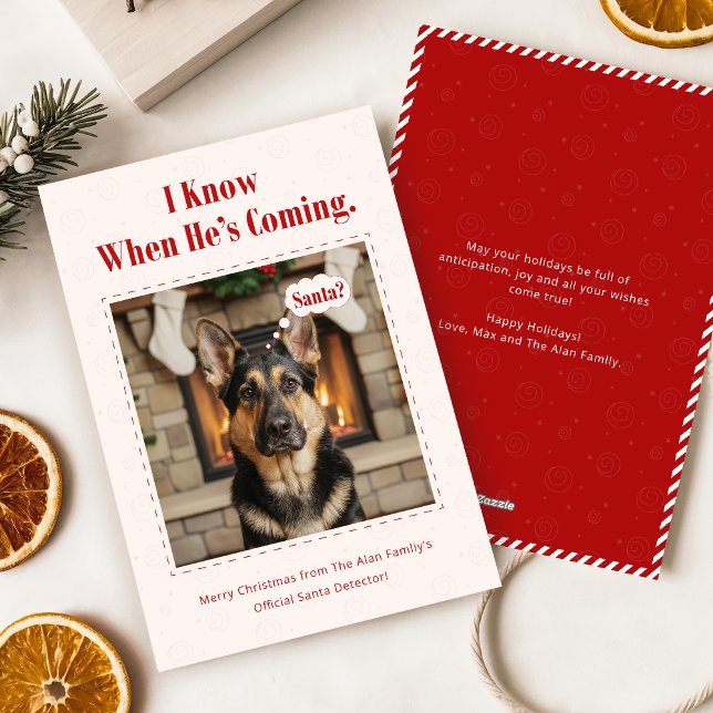 Cartes Pour Fêtes Annuelles Minimal Funny Adorable Dog Pet Photo Christmas (Créateur téléchargé)