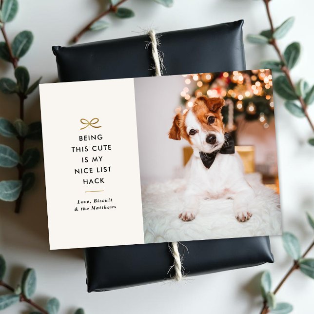Cartes Pour Fêtes Annuelles Minimal Gold Bow Cute Saying Pet Christmas Photo (Créateur téléchargé)