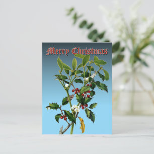 Cartes Pour Fêtes Annuelles Mistletoe & Holly Greenery Art botanique