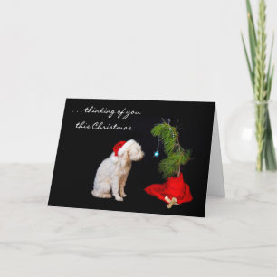 Cartes Pour Fêtes Annuelles Mlle You à Noël - chien regardant l'arbre