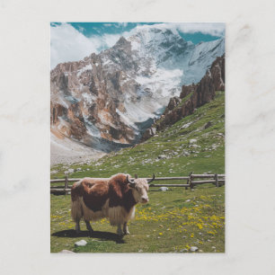 Cartes Pour Fêtes Annuelles Moderne animal de yak tendance