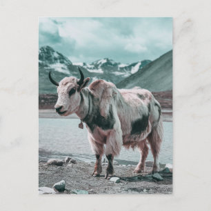 Cartes Pour Fêtes Annuelles Moderne animal de yak tendance