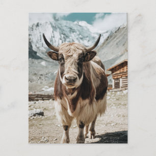 Cartes Pour Fêtes Annuelles Moderne animal de yak tendance