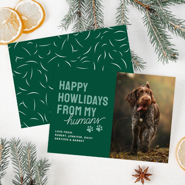 Cartes Pour Fêtes Annuelles Moderne Happy Howlidays Pet Christmas Card (Créateur téléchargé)