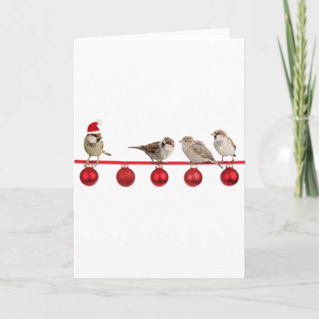 Cartes Pour Fêtes Annuelles Moineaux d'oiseaux de Noël (Devant)