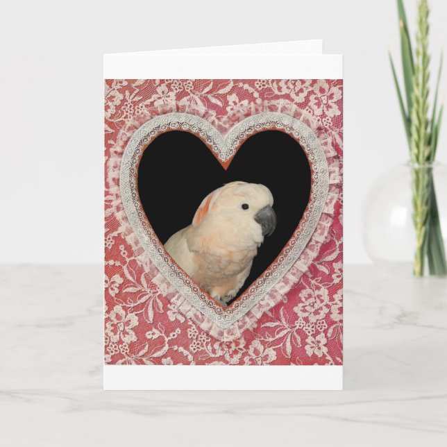 Cartes Pour Fêtes Annuelles Moluccan Cockatoo Love Valentine Design (Devant)