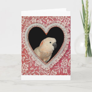 Cartes Pour Fêtes Annuelles Moluccan Cockatoo Love Valentine Design