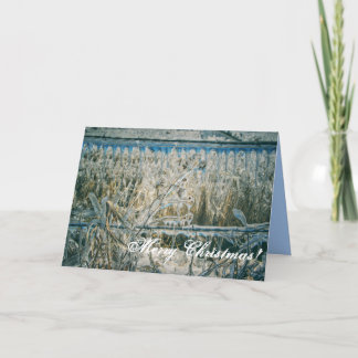 Cartes Pour Fêtes Annuelles Moments gelés