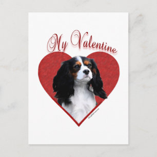 Cartes Pour Fêtes Annuelles Mon Cavalier Valentine