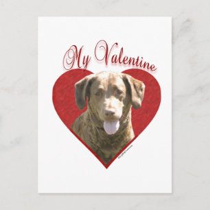Cartes Pour Fêtes Annuelles Mon Chessie Valentine