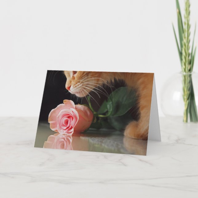 Cartes Pour Fêtes Annuelles Mon drôle de Valentine (Devant)