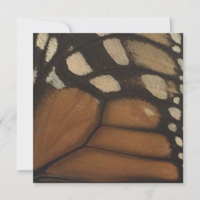 Cartes Pour Fêtes Annuelles Monarch Butterfly Wing Close Up (Devant)