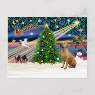 Cartes Pour Fêtes Annuelles Montage magique Rhodésien de Noël