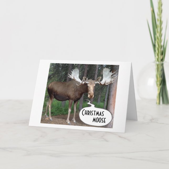 CARTES POUR FÊTES ANNUELLES MOOSE A CHERCHÉ SES ANTLERS POUR VOTRE NOËL (Devant)
