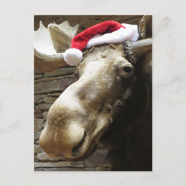 Cartes Pour Fêtes Annuelles Moose de Noël (Devant)