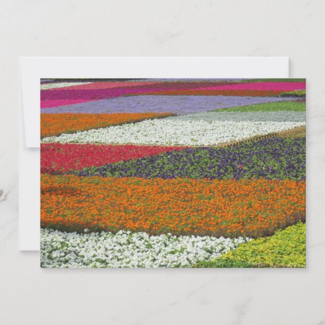Cartes Pour Fêtes Annuelles Moquette à fleurs (Devant)