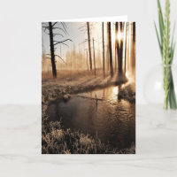 Morceau de Yellowstone gelé