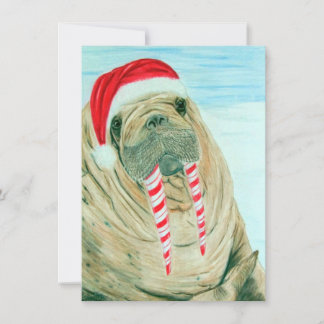 Cartes Pour Fêtes Annuelles Morse de Noël