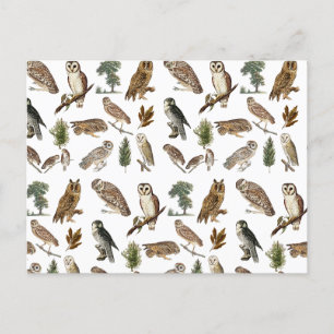 Cartes Pour Fêtes Annuelles Motif de forêt de l'aquarelle de la Chouette vinta
